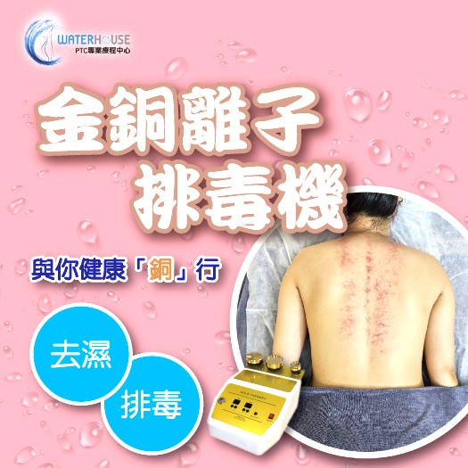 本頁圖片/檔案 - GT